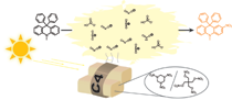 example graphic